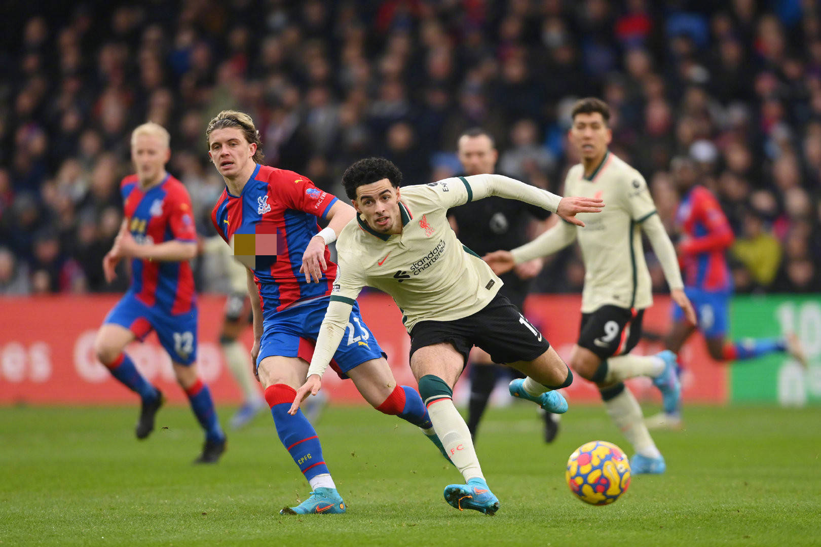 成为世界足 成为世界足