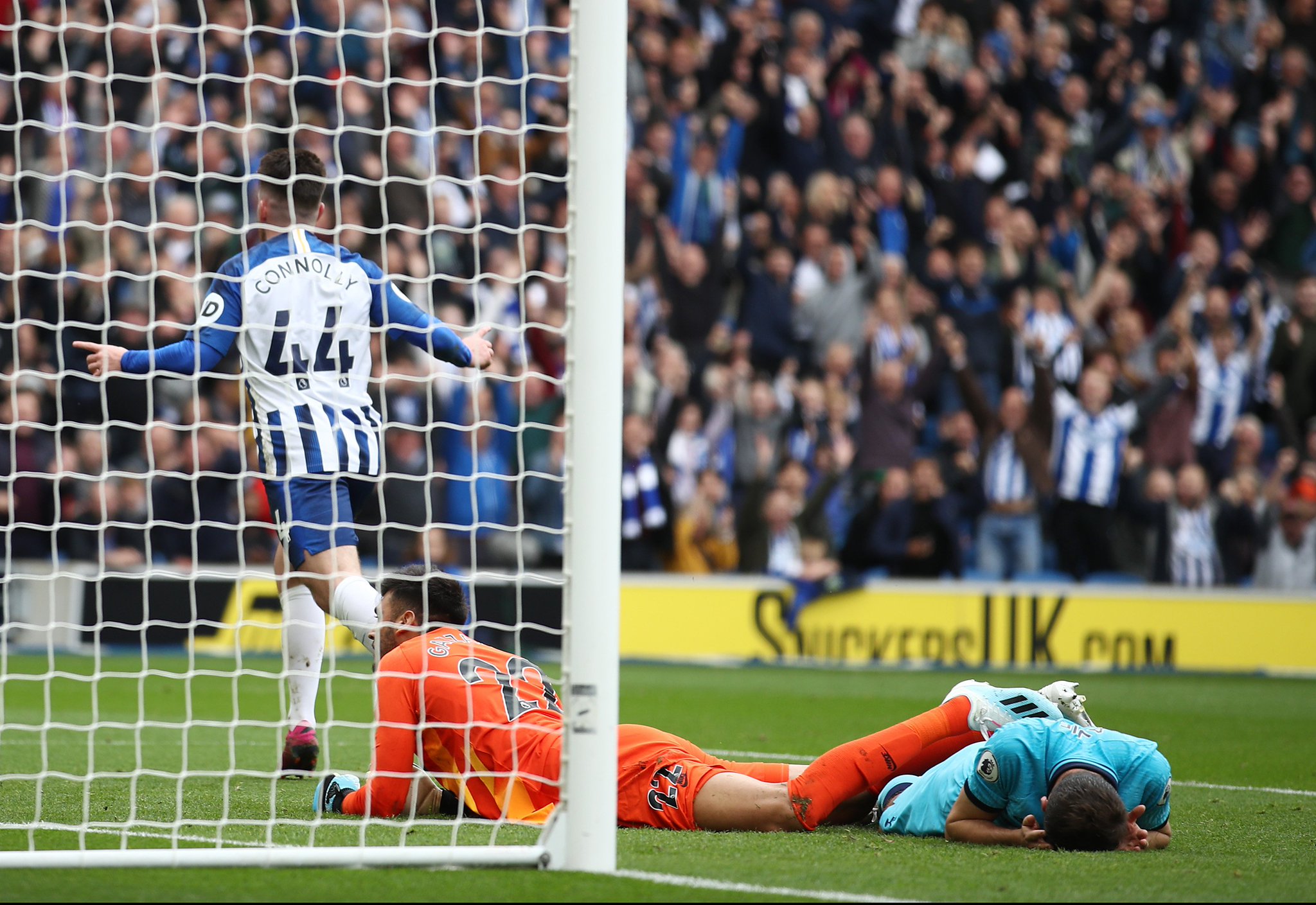 无疑证明了 无疑证明了